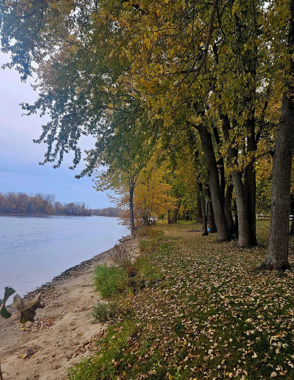 River shore at this time 