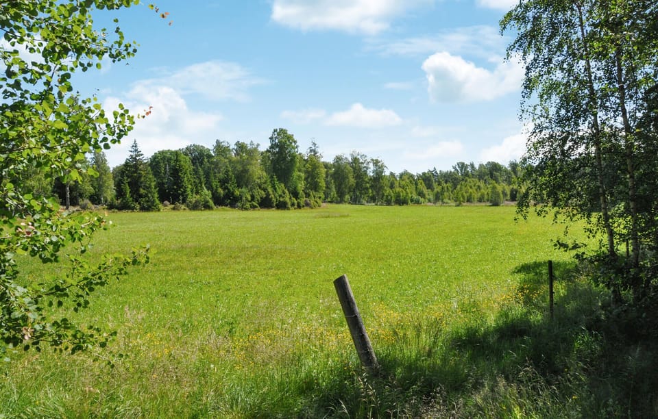 area