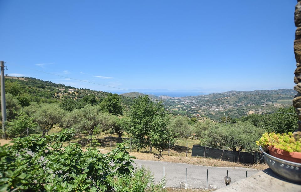 view-from-room