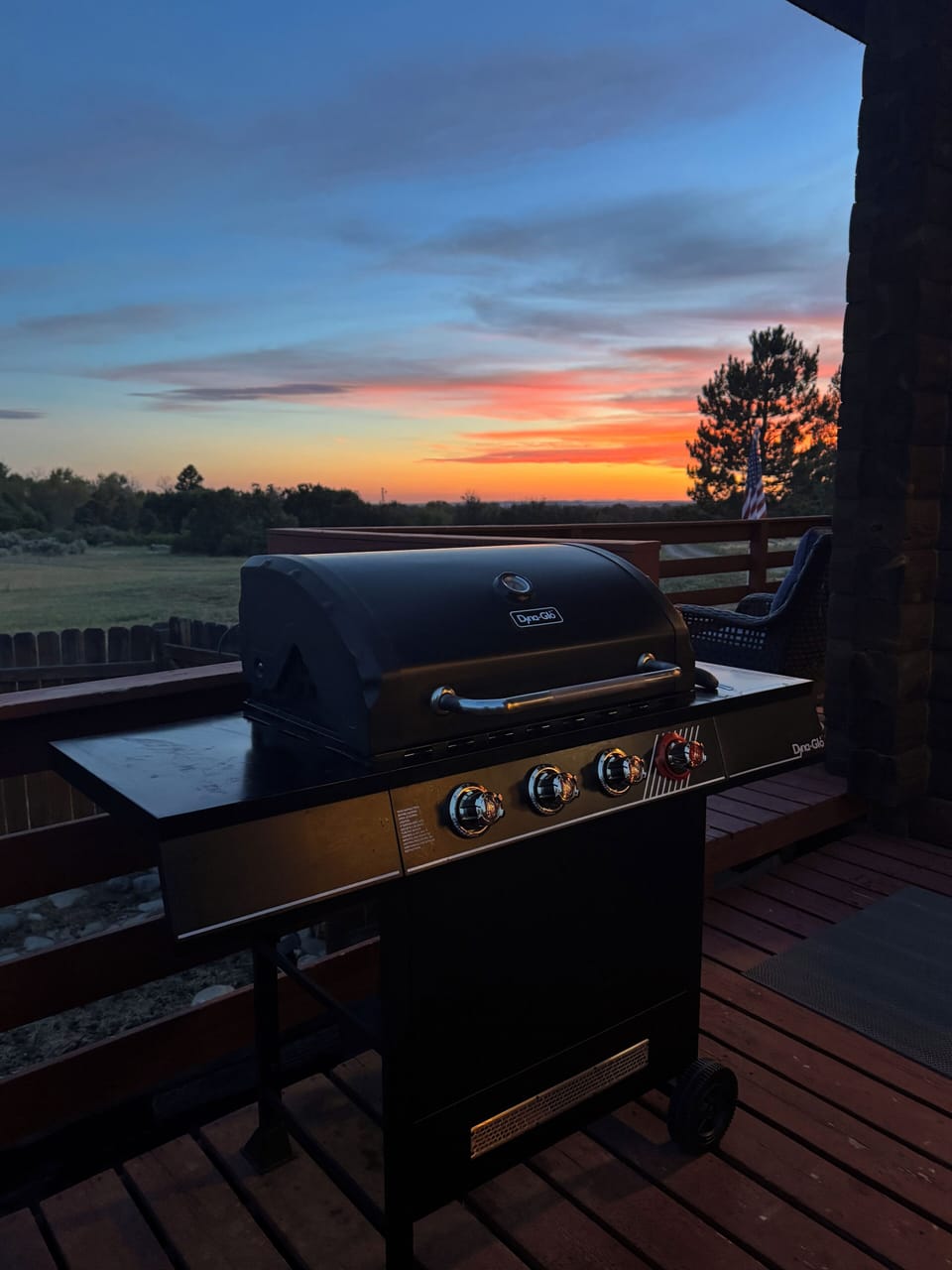 Propane grill