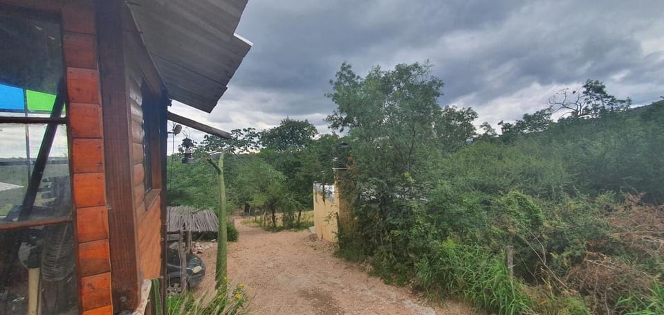 Cabin, 2 Bedrooms, Smoking, Patio | Exterior
