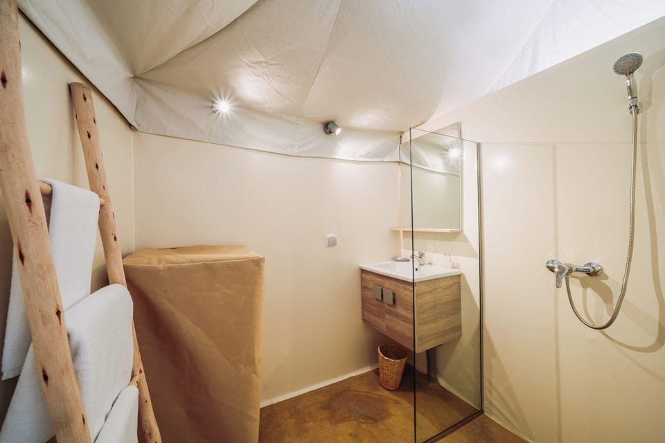 Shower, towels, shampoo, toilet paper