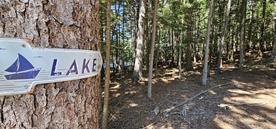 Trail to the water through the property