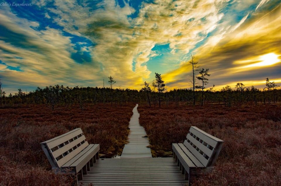 Saco Heath Preserve which is nearby and go for a 2 mile hike