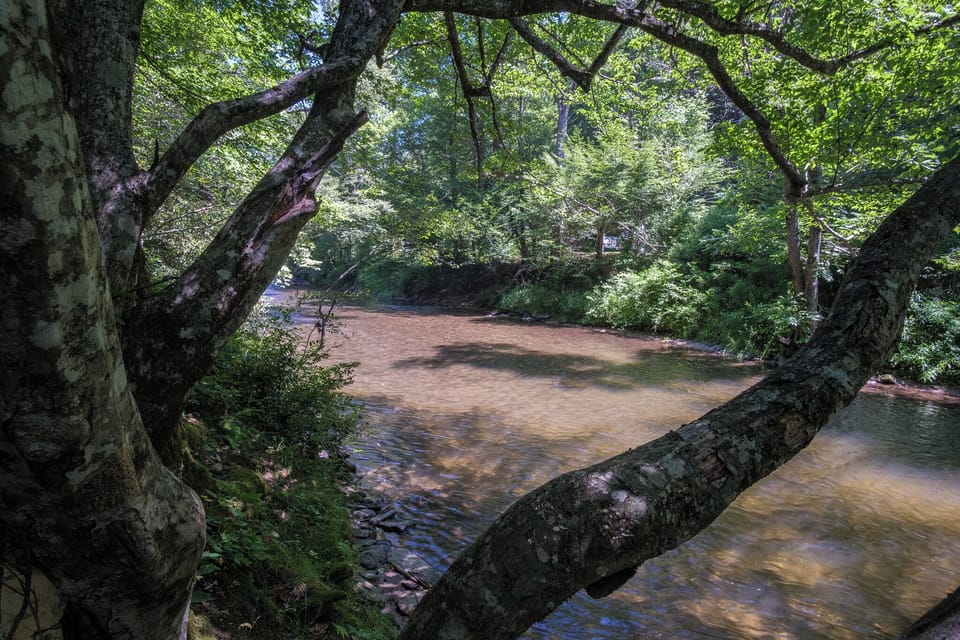 Steps Away from the French Broad River