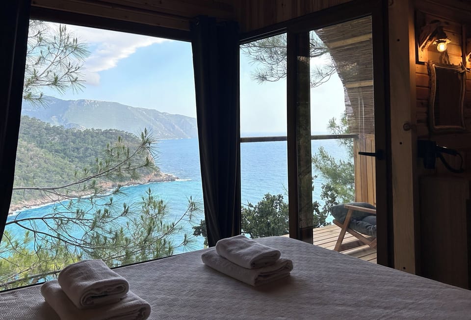Melissa Evi | View from room