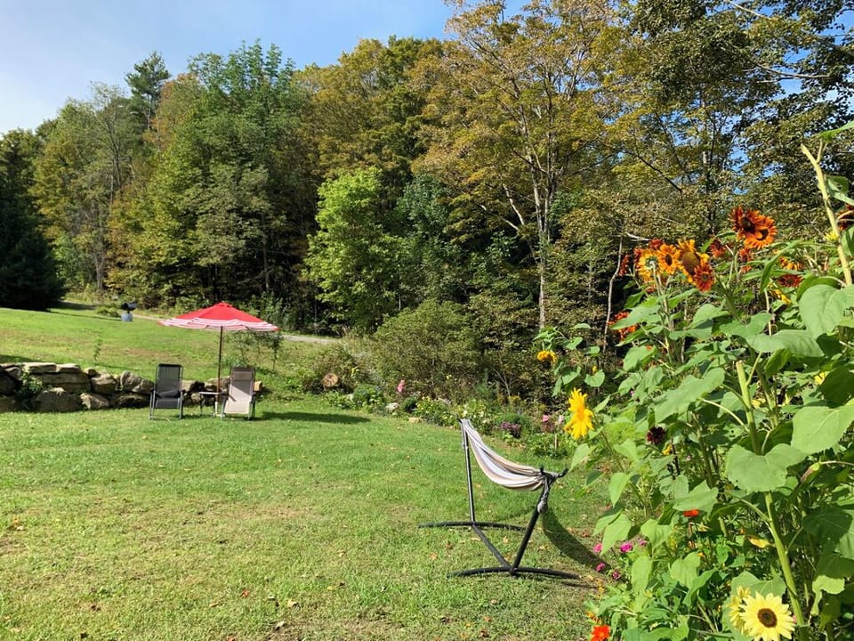 The side Yard 