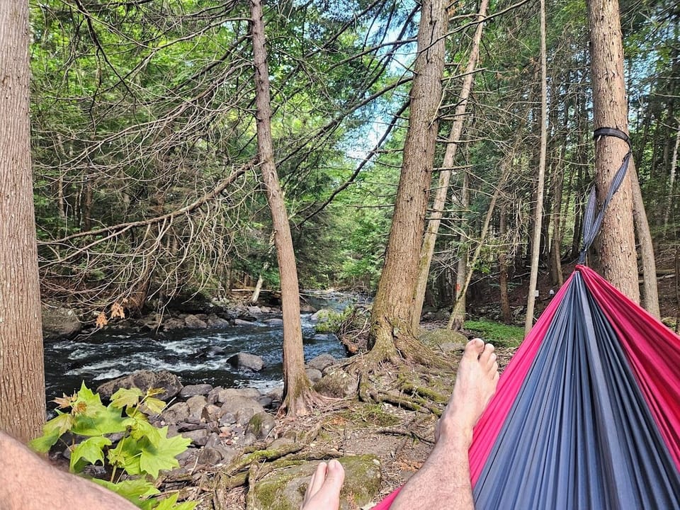 Hanging around overlooking the creek