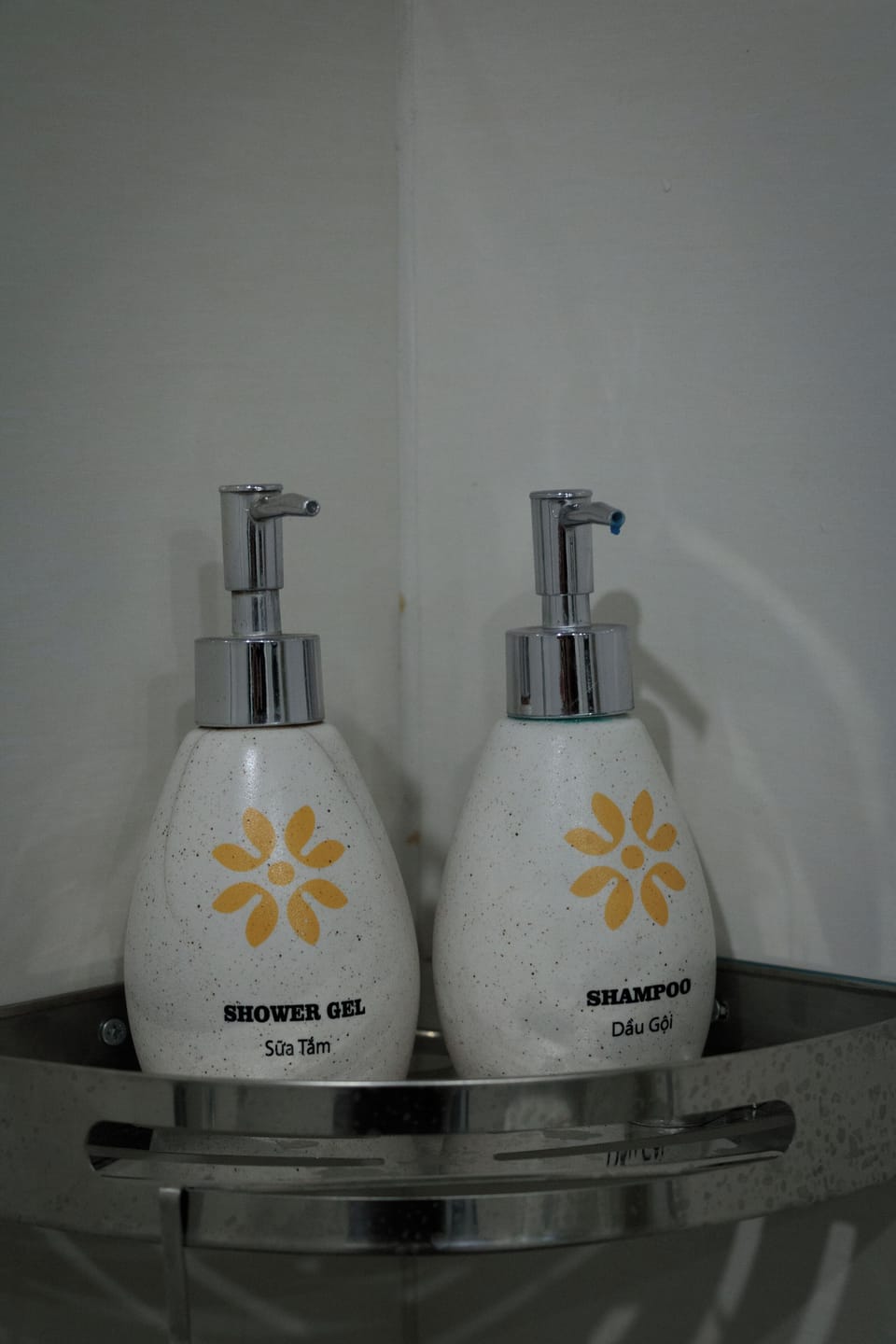 Shower, hair dryer, slippers, bidet