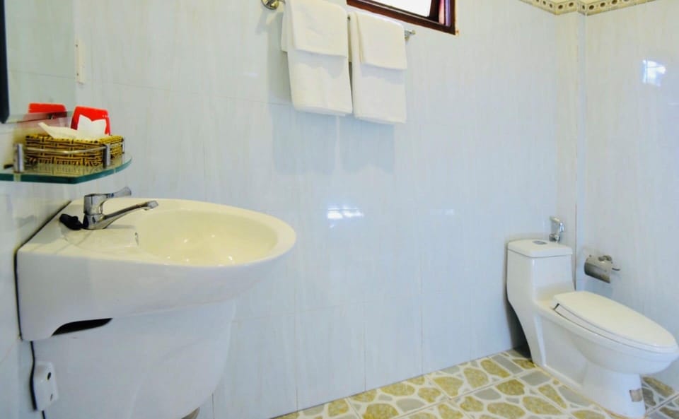 Shower, hair dryer, bidet, soap