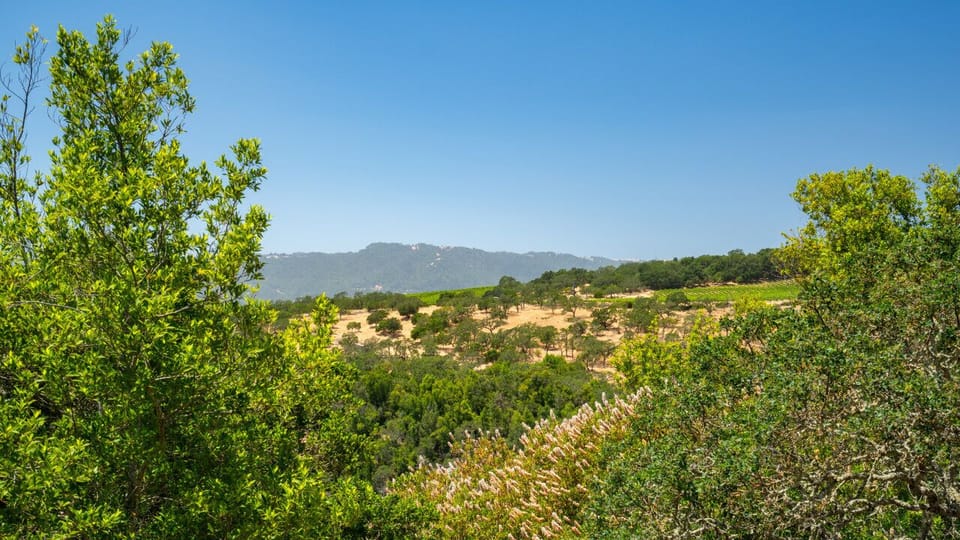 Soak up the stunning views this home has to offer!