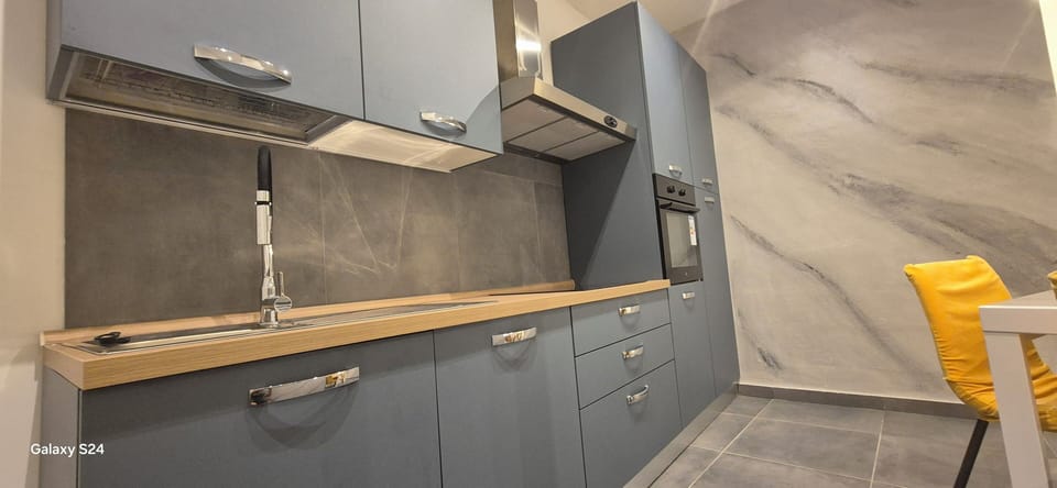 Fridge, dishwasher, cookware/dishes/utensils