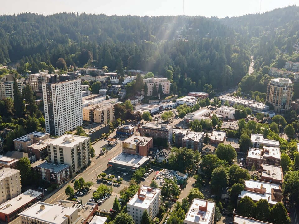 Aerial view of the nearby West Hills and NW Portland.