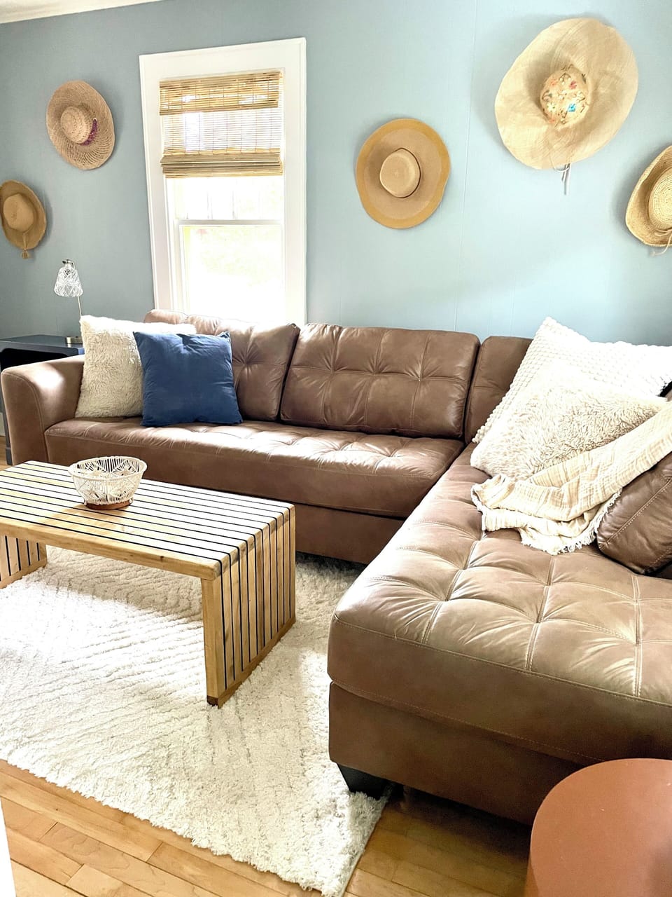 Super comfy sofa (with queen sleeper)