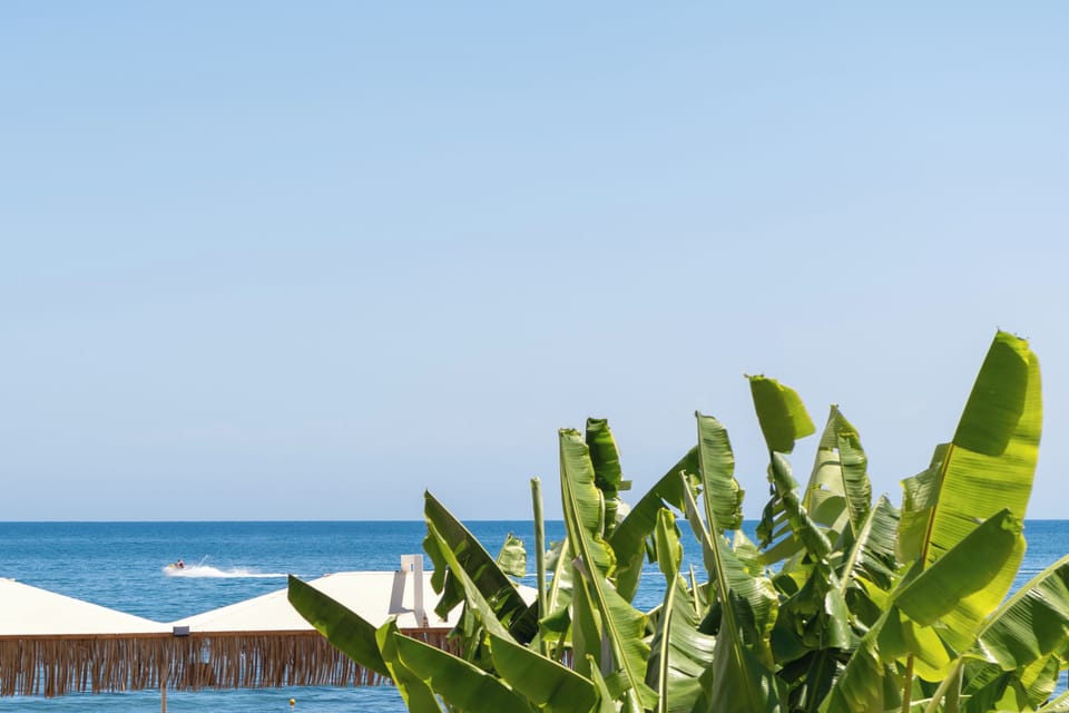 Enjoy the Ocean Breeze from the pool area.