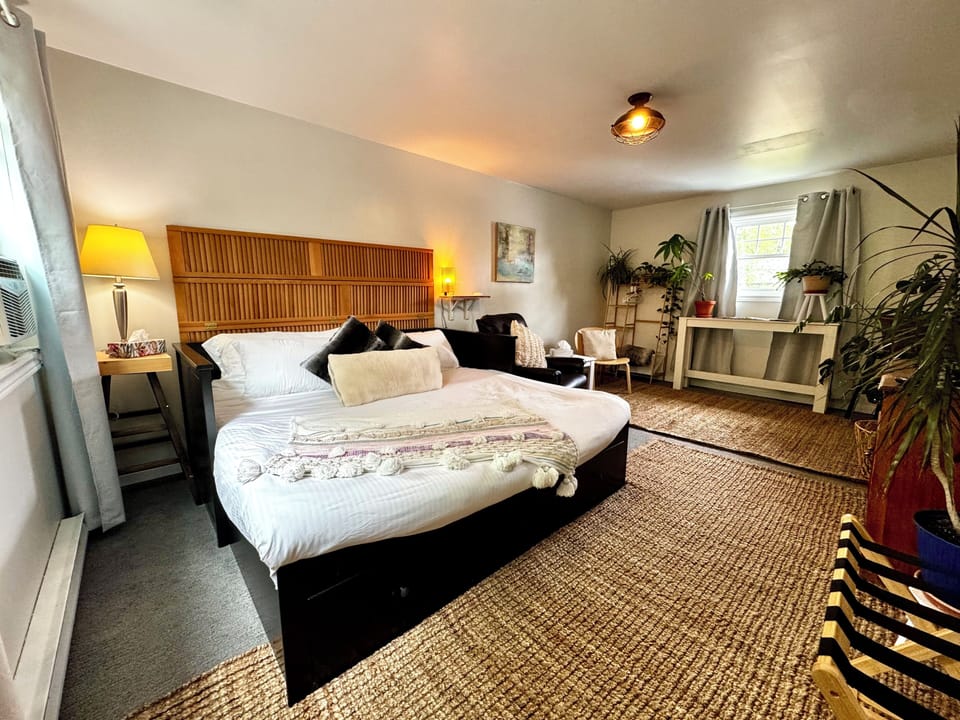 King bed, Roku TV, Netflix, seating area, dresser, A/C, blackout curtains.