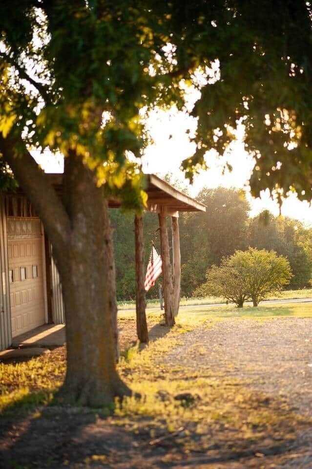 View from our shop (next door to cabin) facing the sunset.