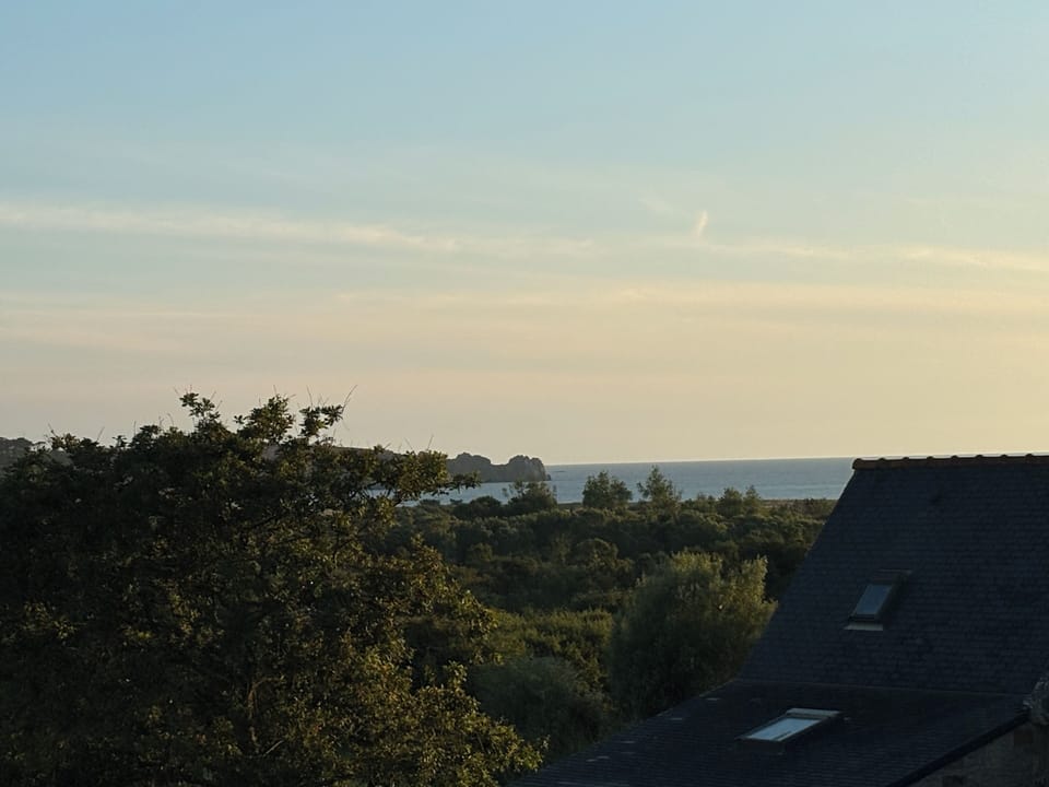 Beach/ocean view