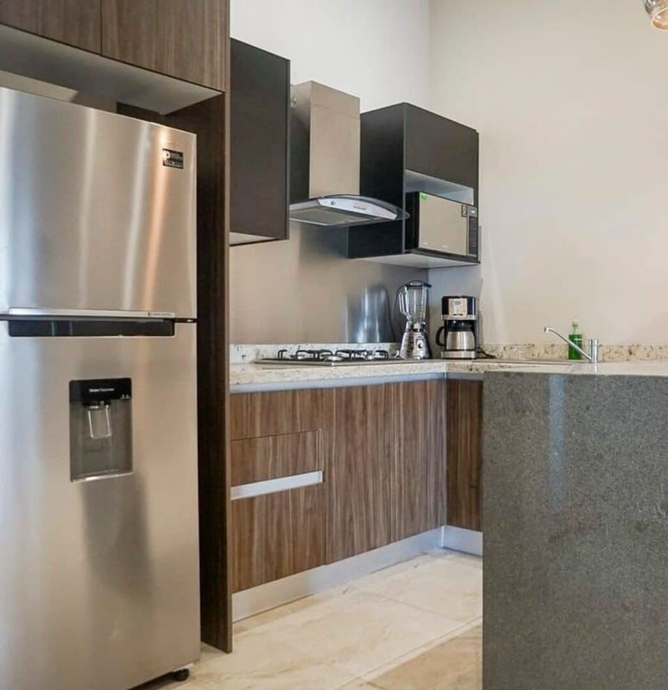 Deluxe Apartment, City View | Private kitchen | Fridge, microwave, stovetop, cookware/dishes/utensils