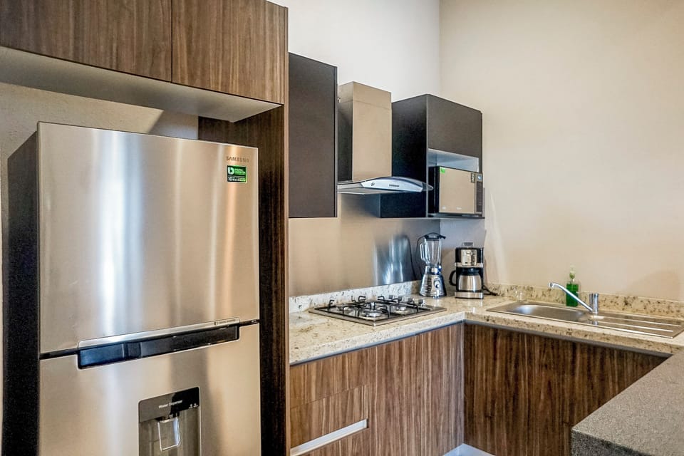 Deluxe Apartment, City View | Private kitchen | Fridge, microwave, stovetop, cookware/dishes/utensils