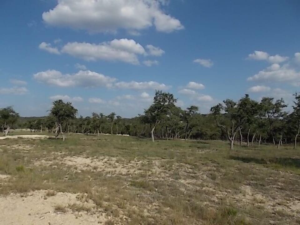 View (3)