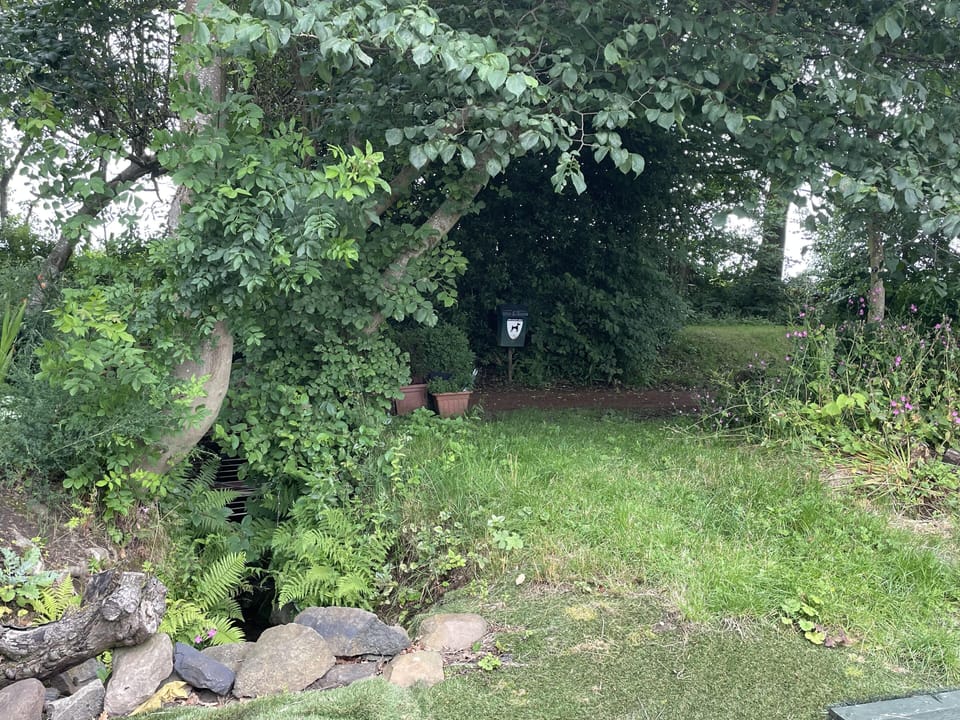 Image 13