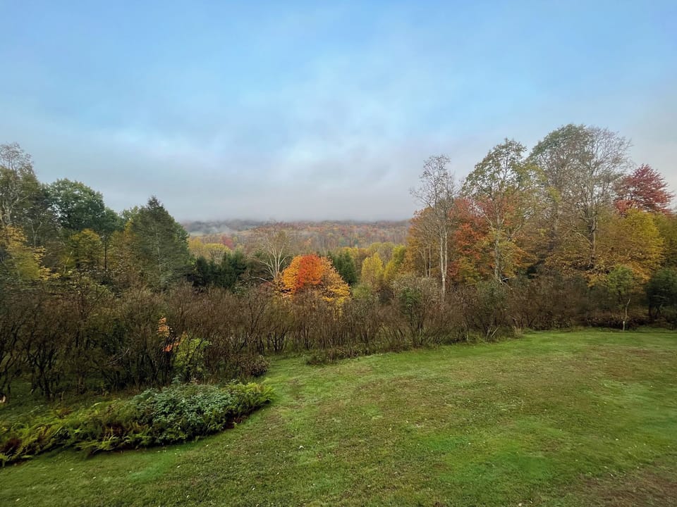 Yard in Fall