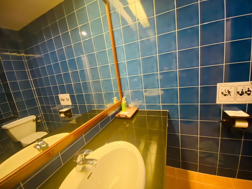 Shower, free toiletries, bidet, towels