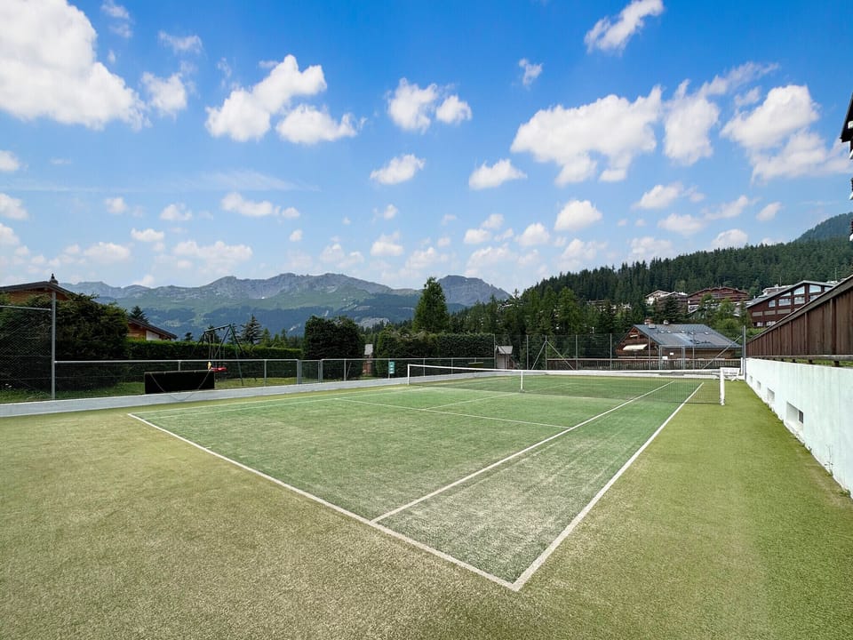 Sport court
