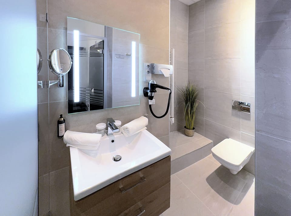 Basic Twin Room | Bathroom | Shower, hair dryer, towels, soap