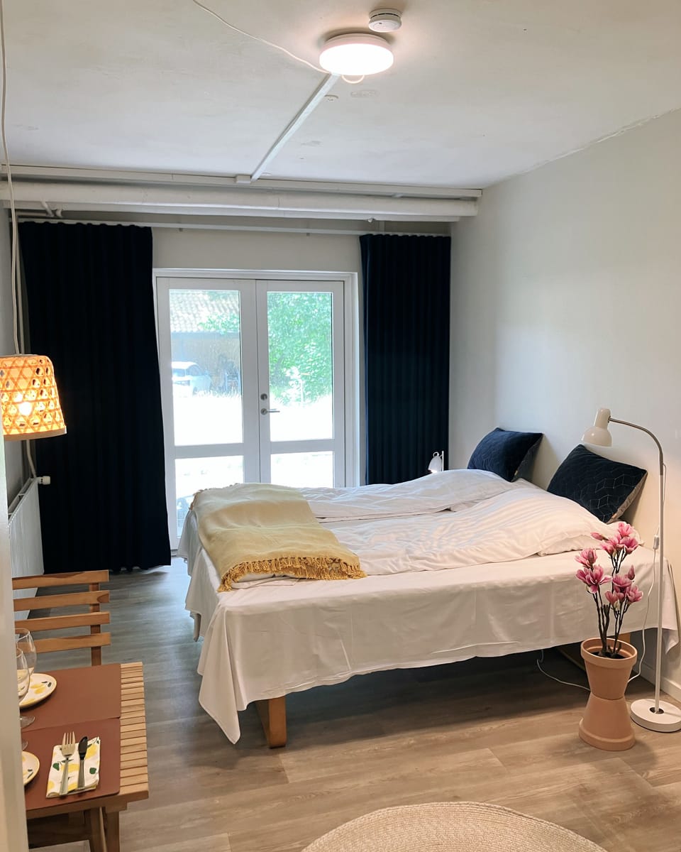 Studio, 1 King Bed