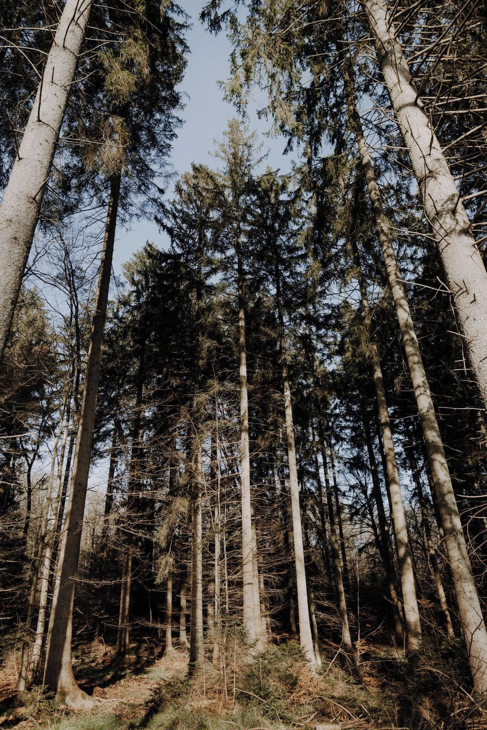 Hiking