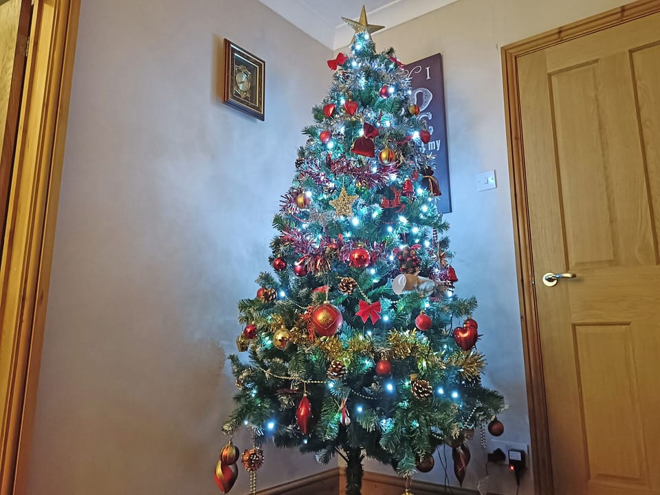 Decorated for Christmas | Homestead, Long Sutton, near Spalding