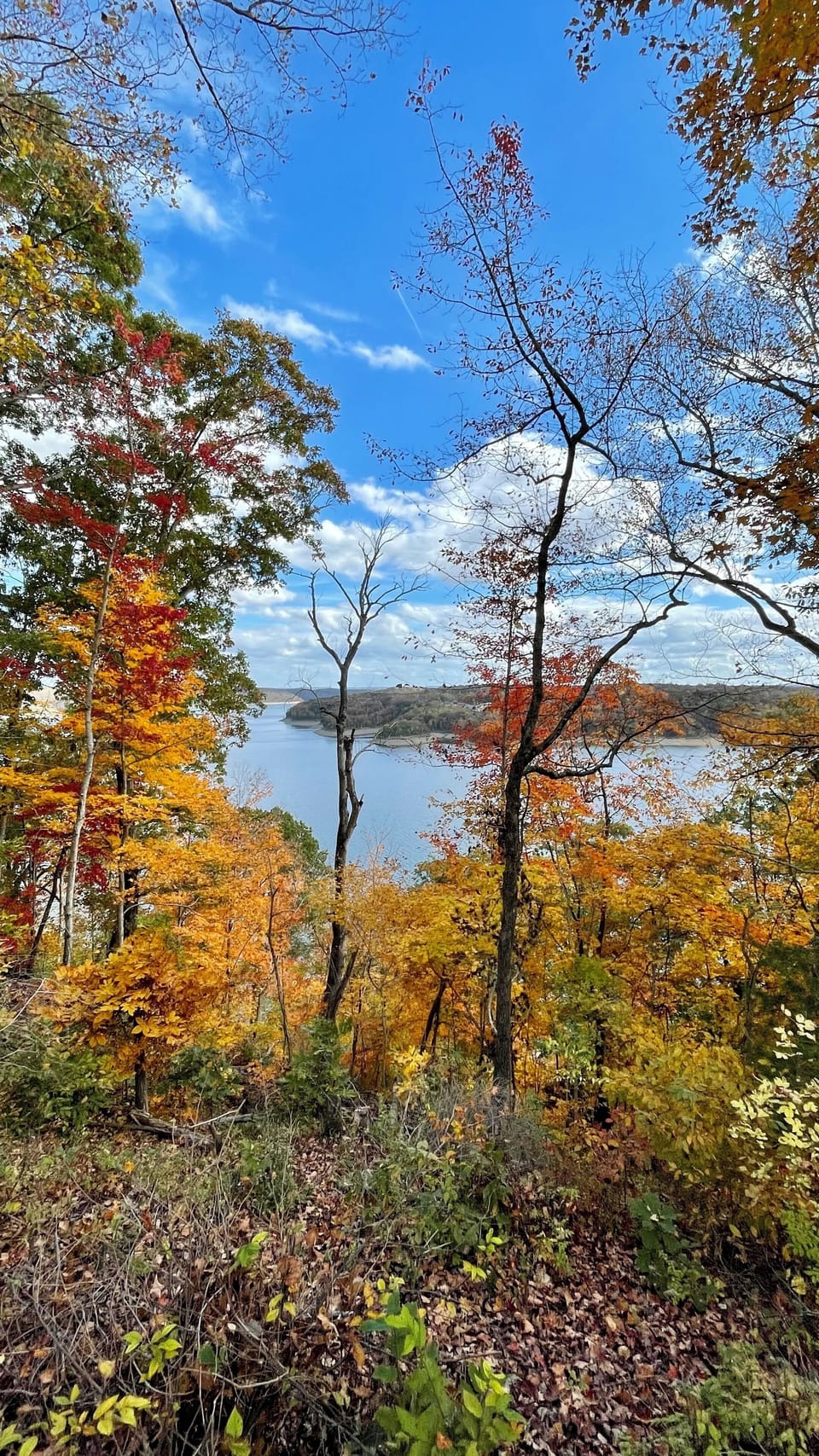 Fall lake view from cabin