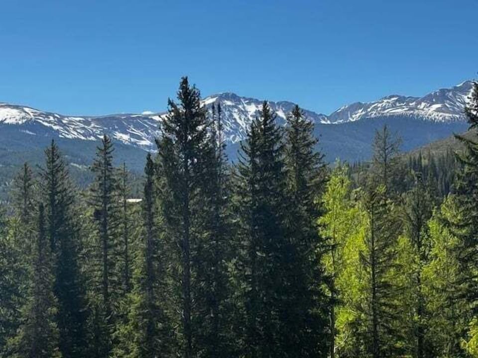 Continental Divide Views