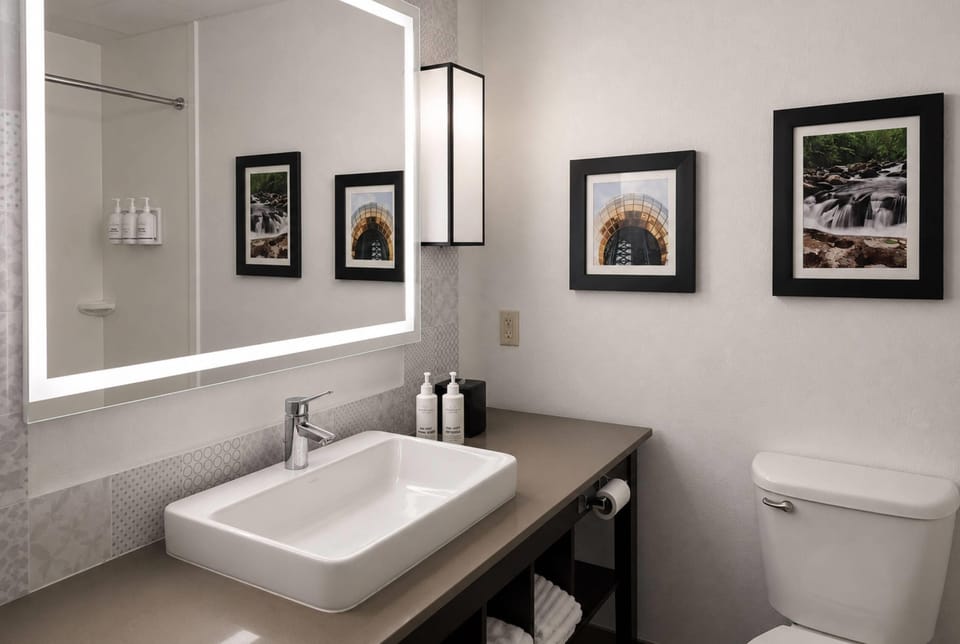 Combined shower/tub, free toiletries, hair dryer, towels