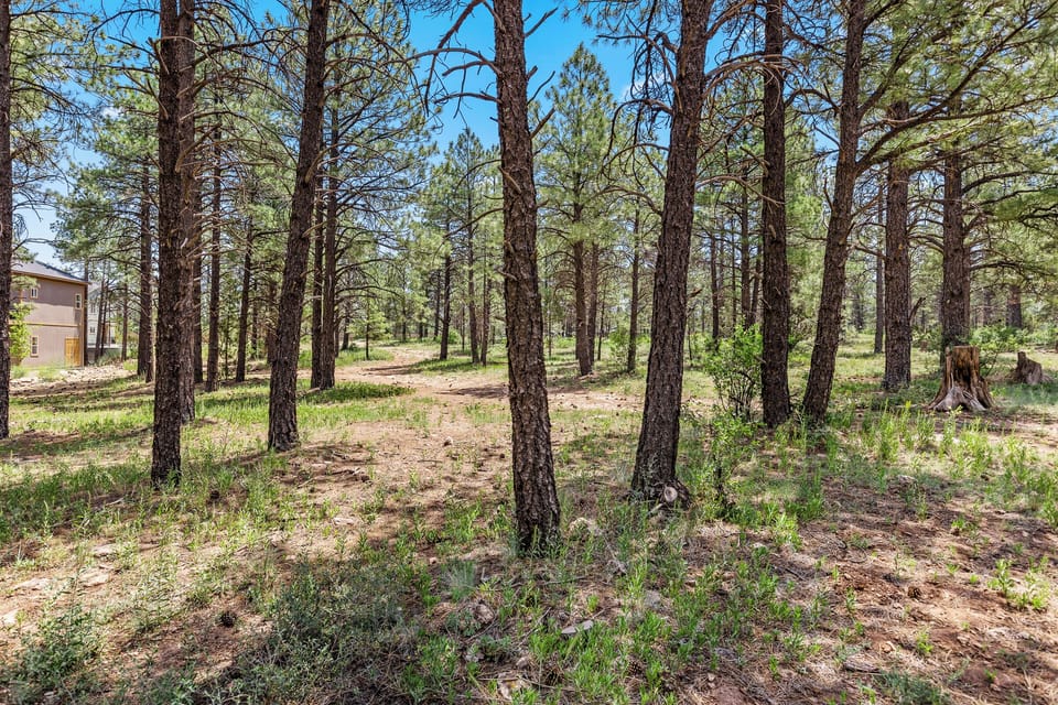 Take a walk in the forest right out the front door!