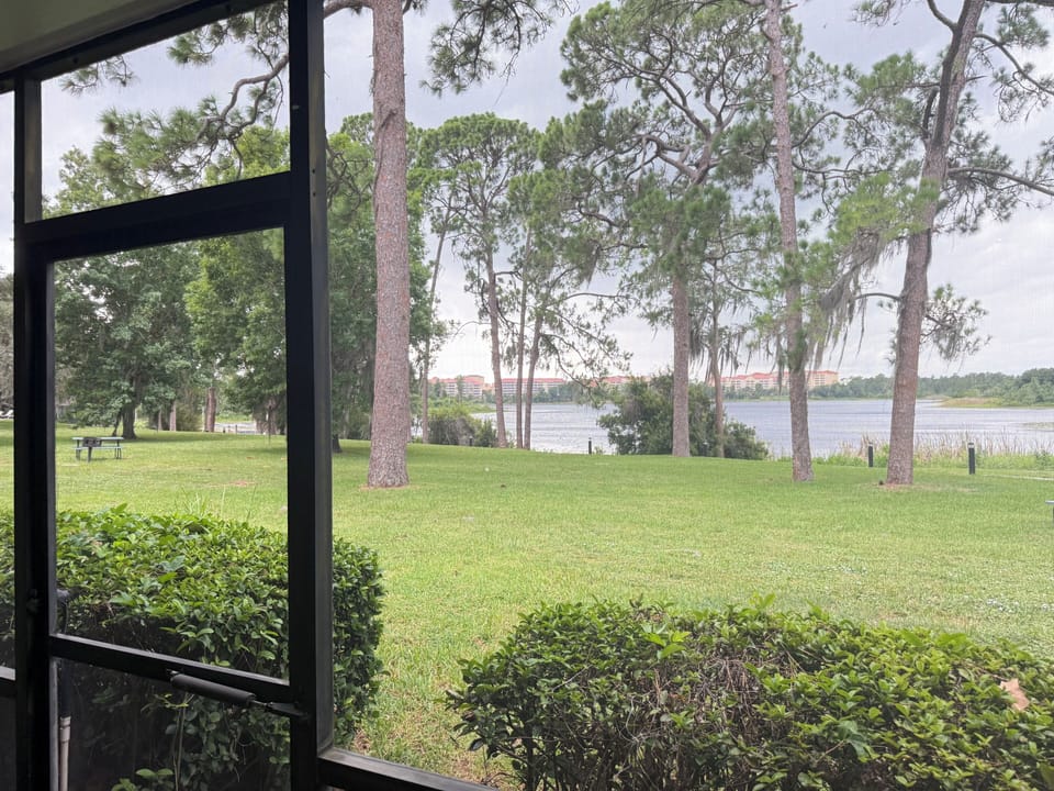 View from room