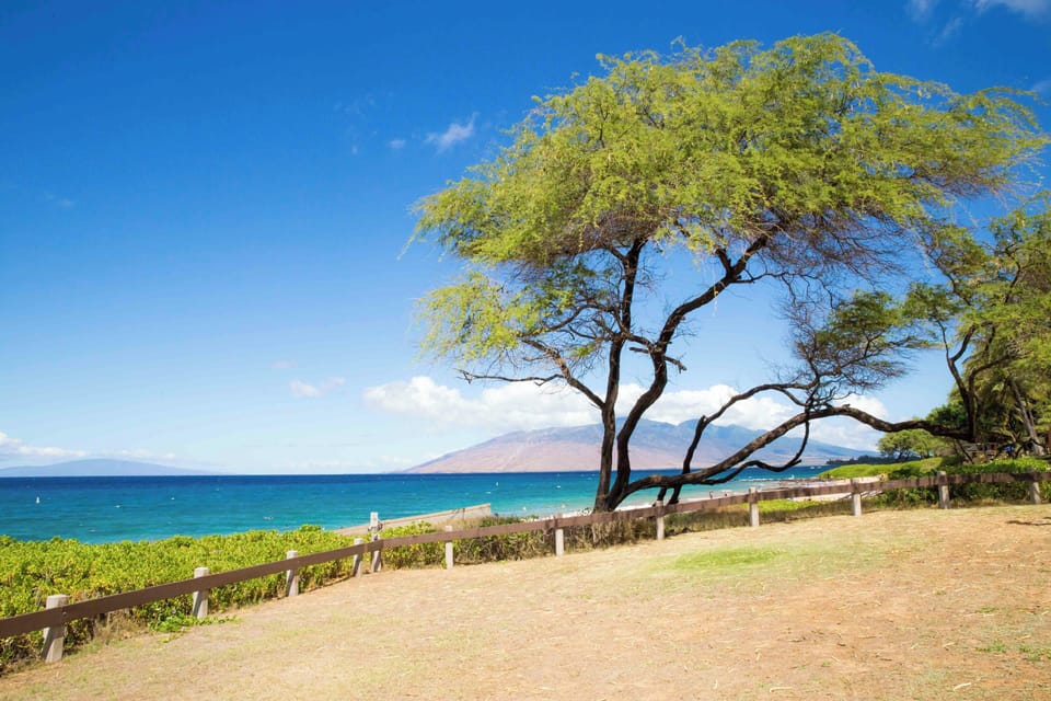 Kamaole Beach Park III - Kamaole Beach Park III