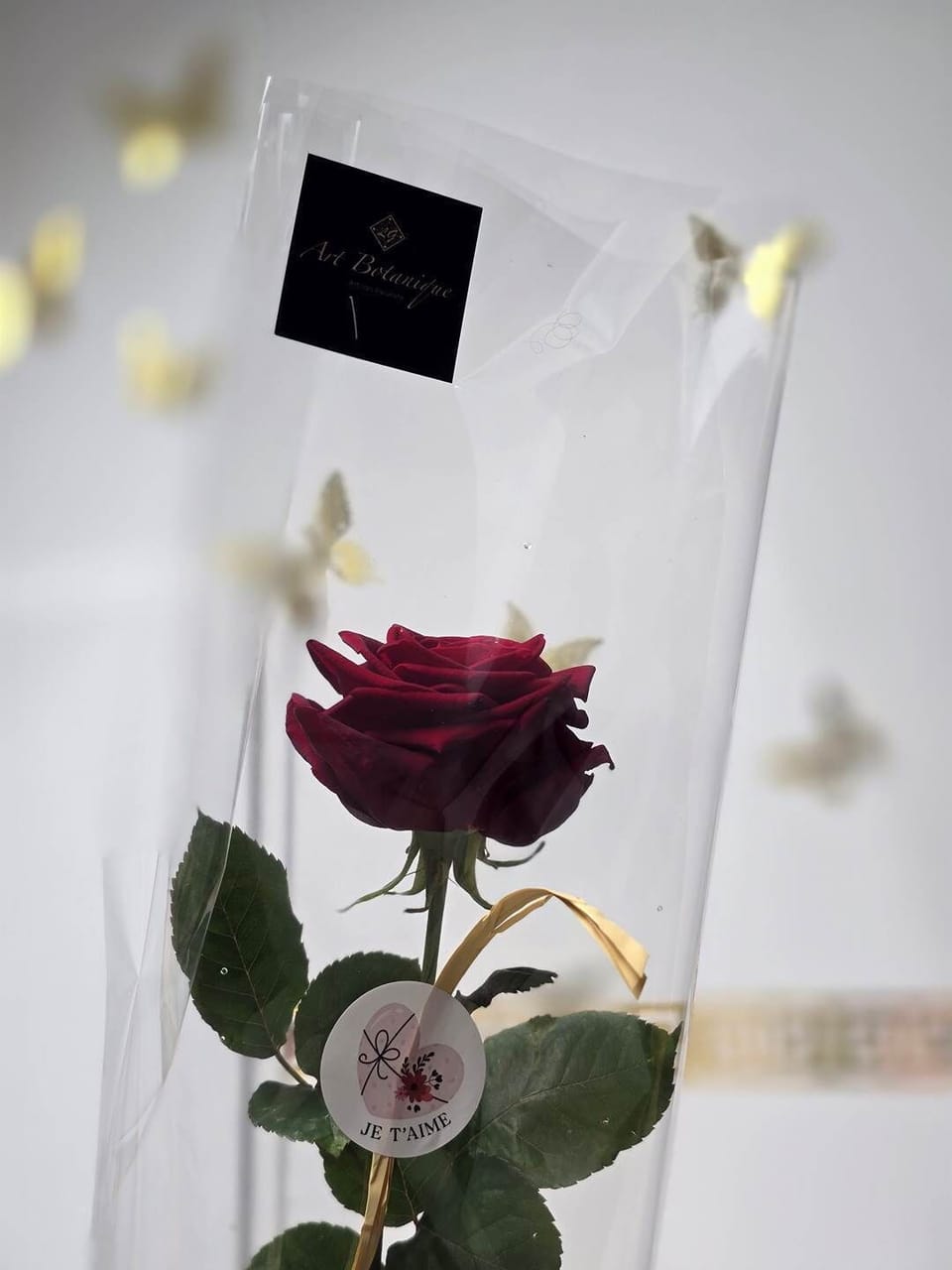 ROSE CHEZ ART BOTANIQUE
