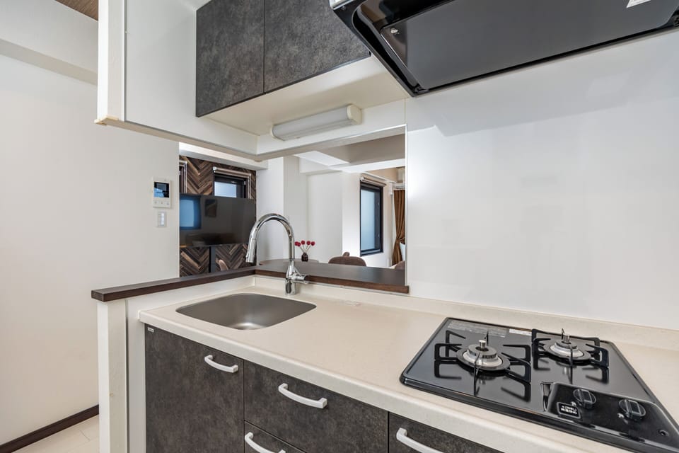 Comfort Apartment, Balcony, City View | Private kitchen | Electric kettle, toaster, rice cooker, eco-friendly cleaning products