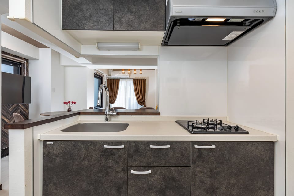 Comfort Apartment, Balcony, City View | Private kitchen | Electric kettle, toaster, rice cooker, eco-friendly cleaning products