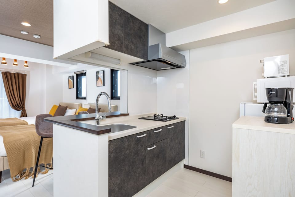 Comfort Apartment, Balcony, City View | Private kitchen | Electric kettle, toaster, rice cooker, eco-friendly cleaning products