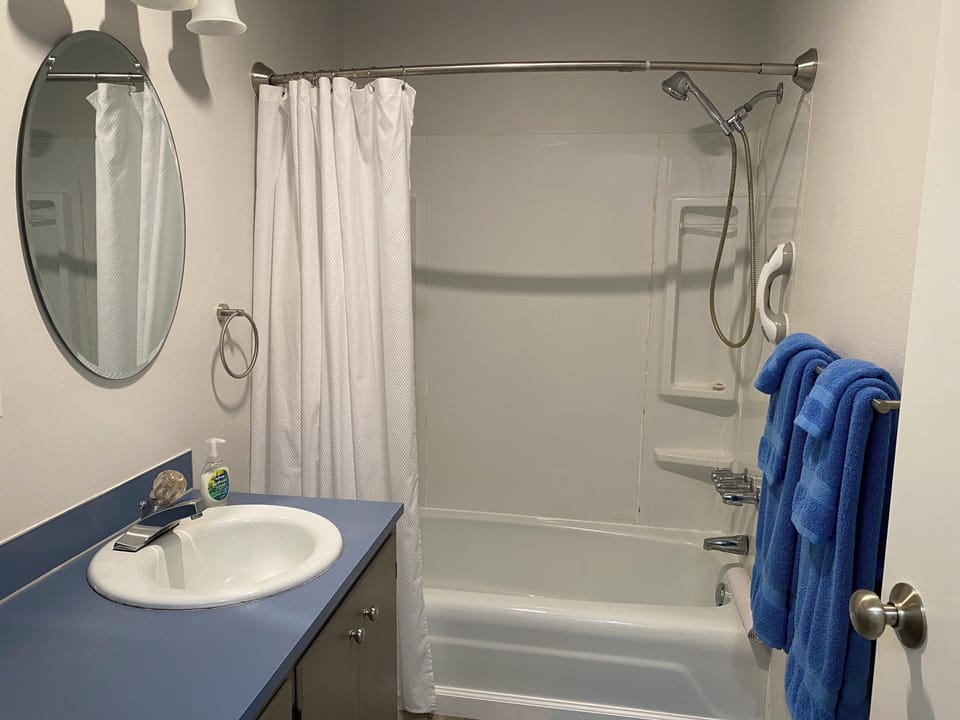 Full bath with shower/tub combo