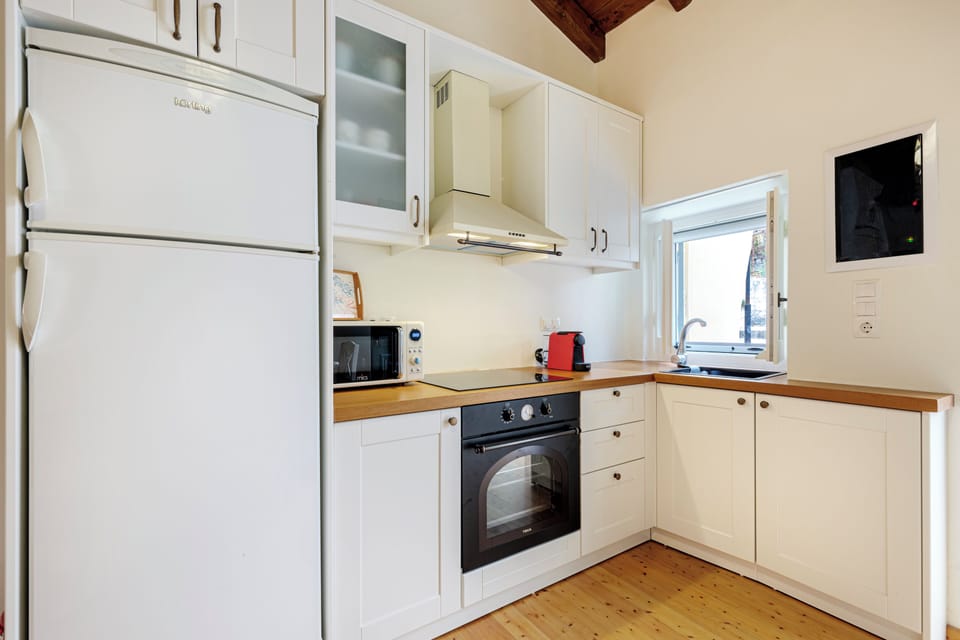 Full-size fridge, oven, stovetop, electric kettle