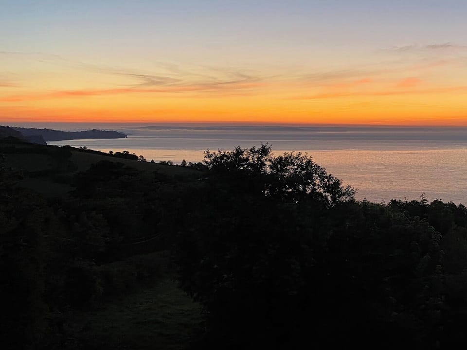View | Cliff Lodge, Torquay