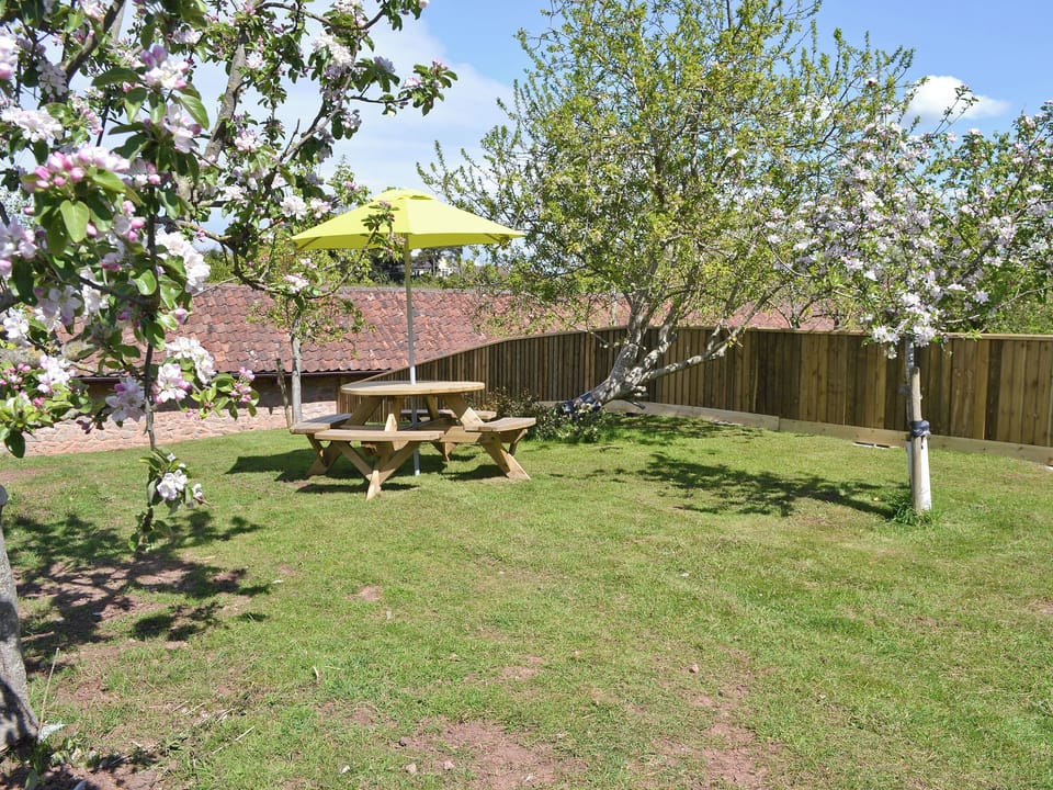 Garden Orchard is not attached to the cottage - fully gated and enclosed. From here watch the Geese and Ducks | Cider Barn, Hutton, near Weston-Super-Mare