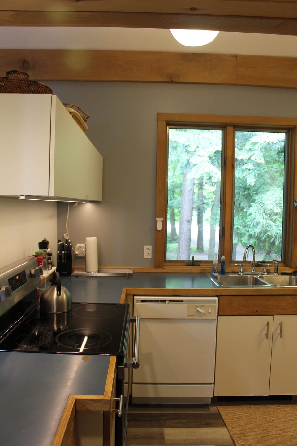 Smooth top electric stove, dishwasher