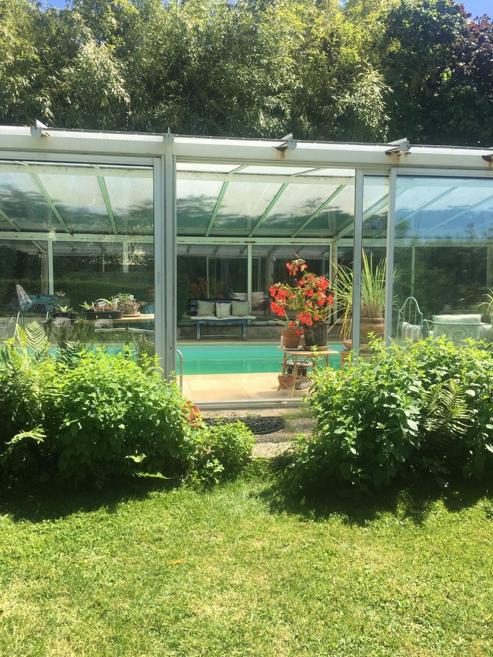 Summer pool - garden view
