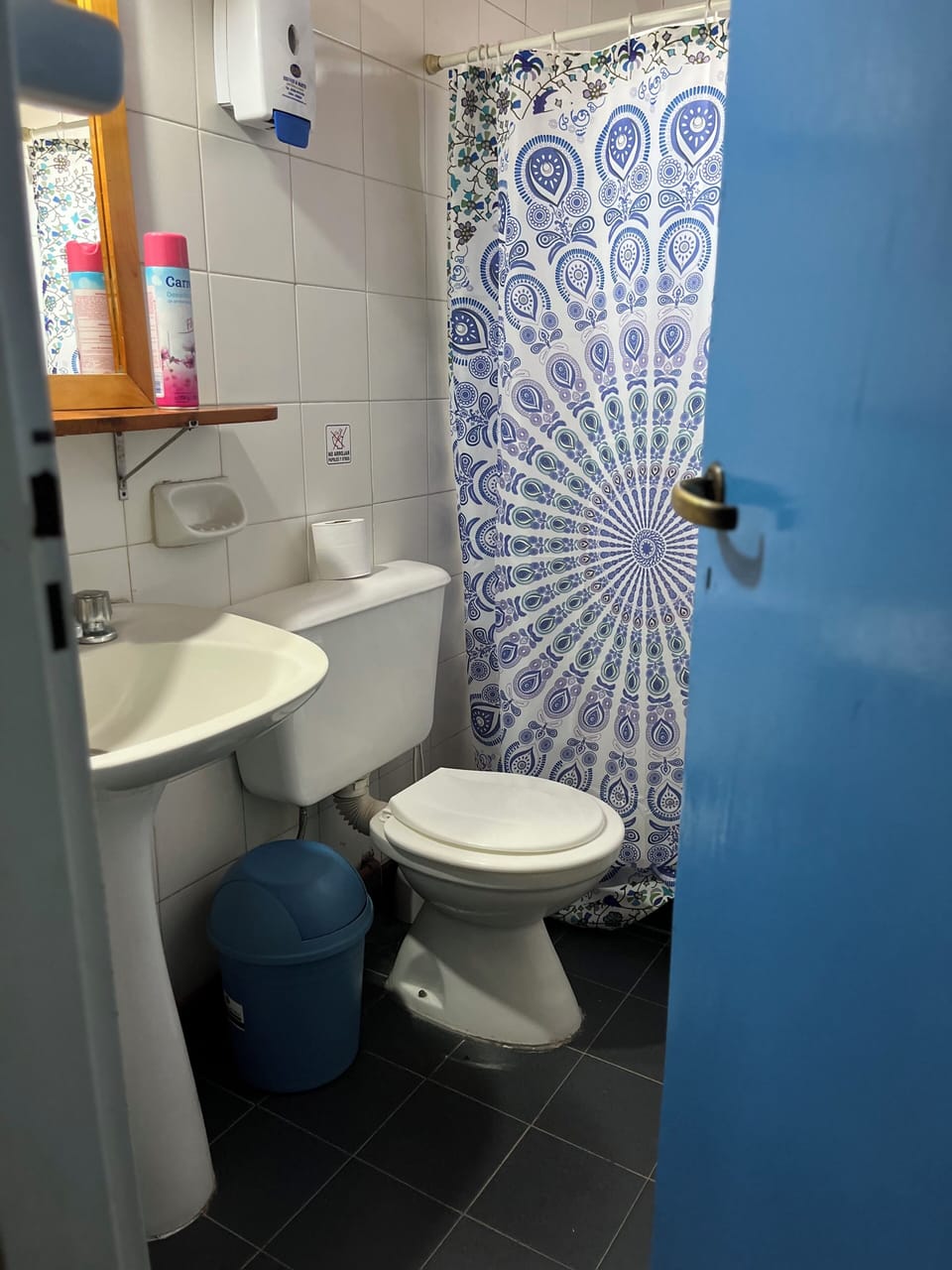 Shared bathroom